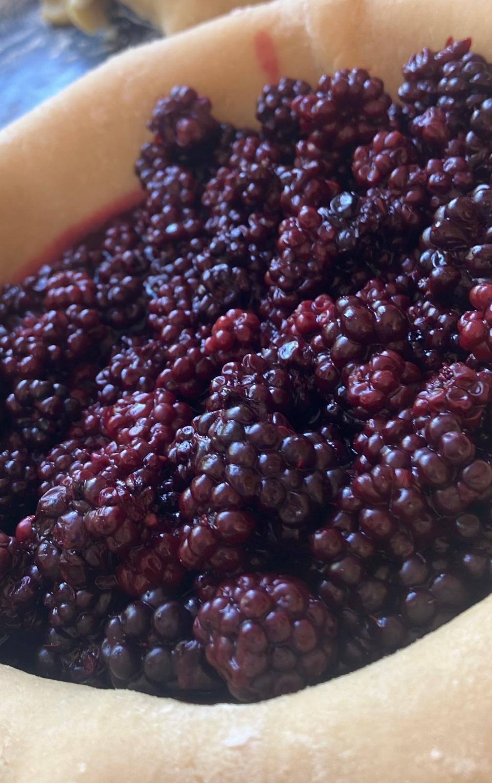 blackberry pie